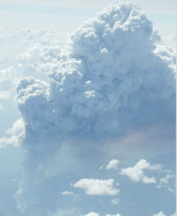 Screen Shot 2020-02-20 at 5.15.43 PM