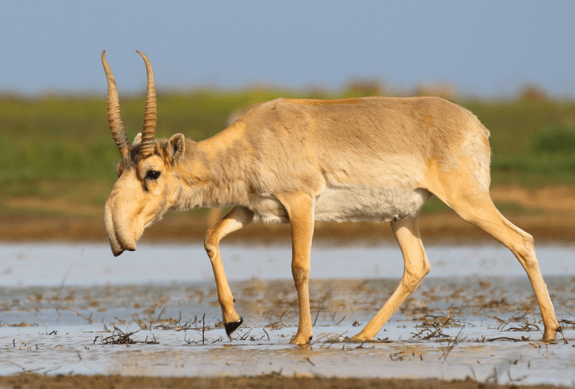 Screen Shot 2020-02-09 at 8.58.46 AM